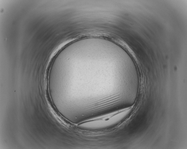 X0000086060795200704202059