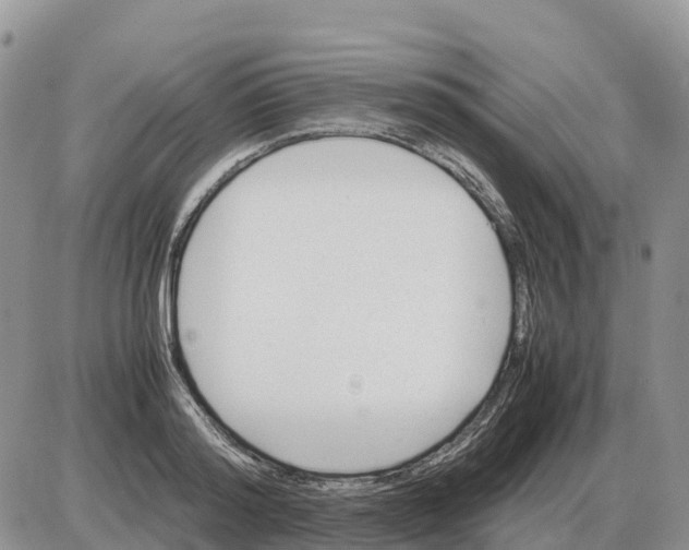 X0000086060796200704202059