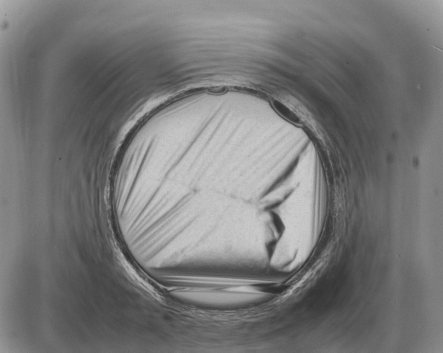 X0000086060797200704202059