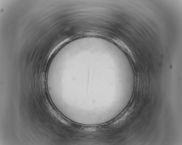 X0000086060798200704202059