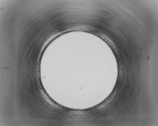 X0000086060800200704202059