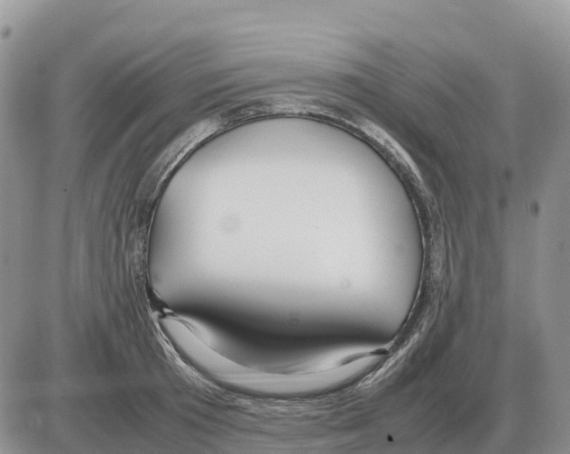 X0000086060801200704202059