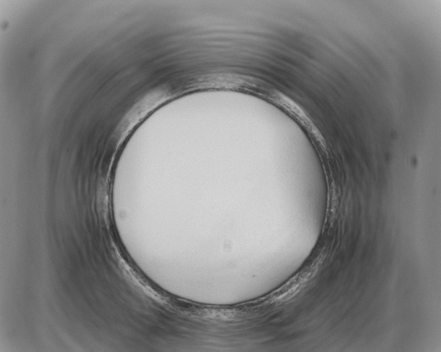 X0000086060802200704202059