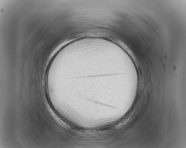 X0000086060803200704202059