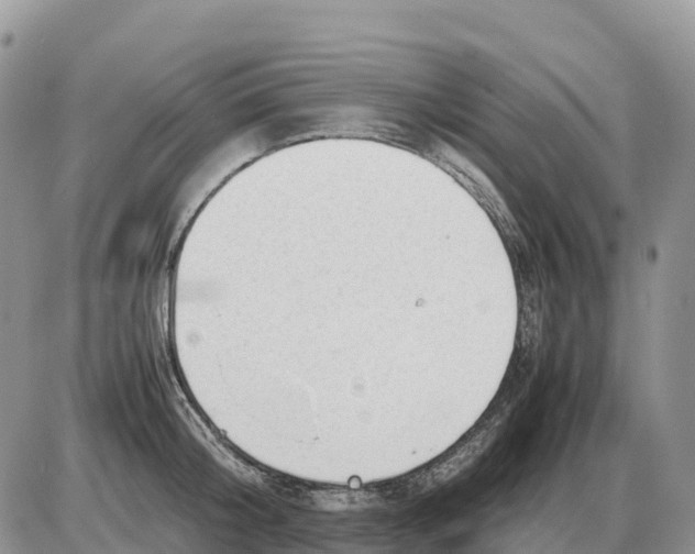 X0000086060804200704202059