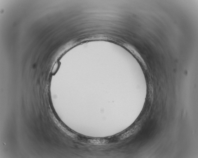 X0000086060805200704202059