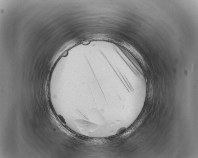 X0000086060806200704202059