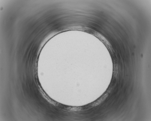 X0000086060808200704202059