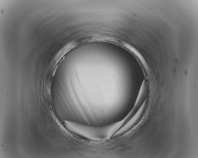 X0000086060809200704202059