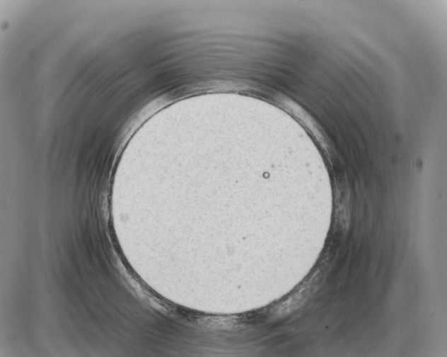 X0000086060810200704202059