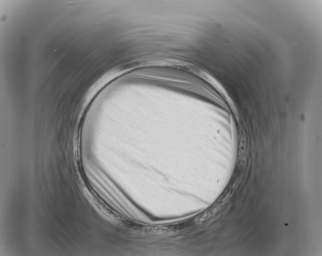 X0000086060811200704202059