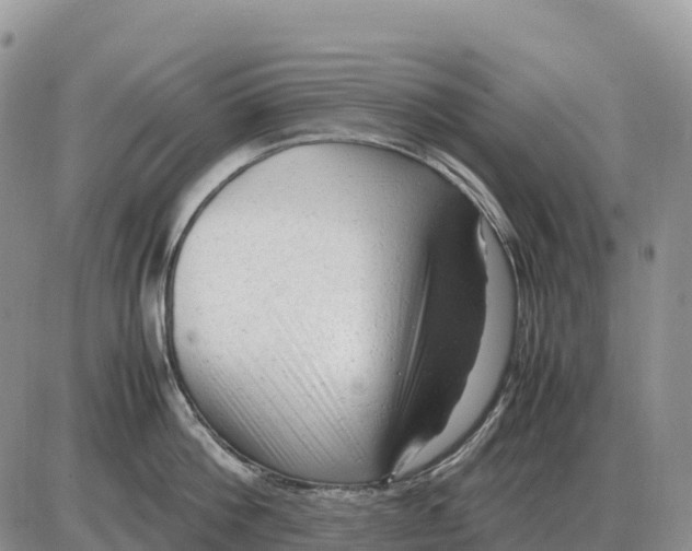 X0000086060812200704202059