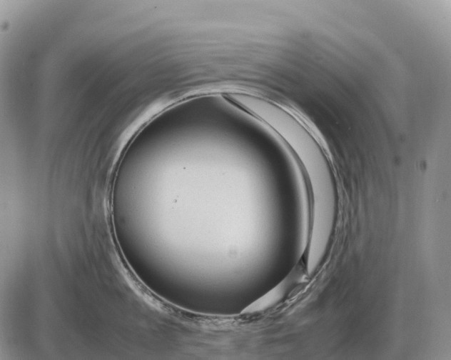 X0000086060813200704202059