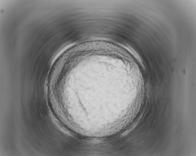 X0000086060814200704202059