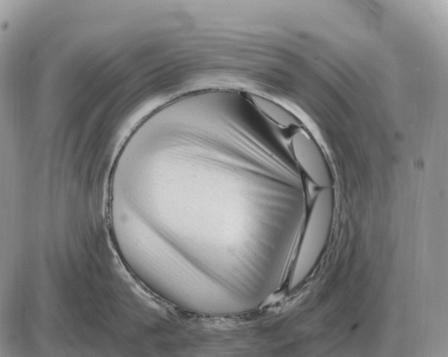 X0000086060815200704202059