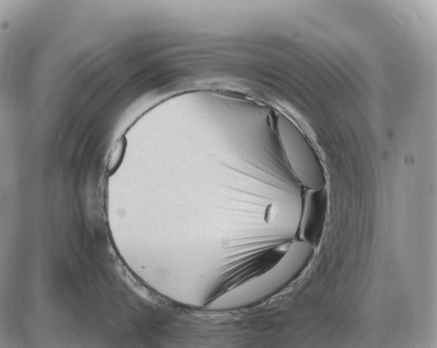 X0000086060816200704202059