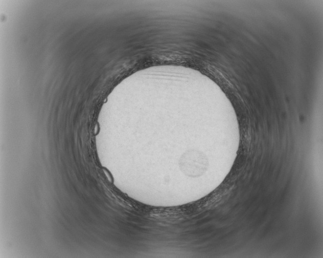 X0000086060817200704202058