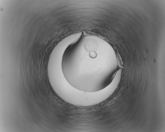 X0000086060818200704202058