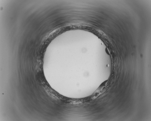 X0000086060822200704202058