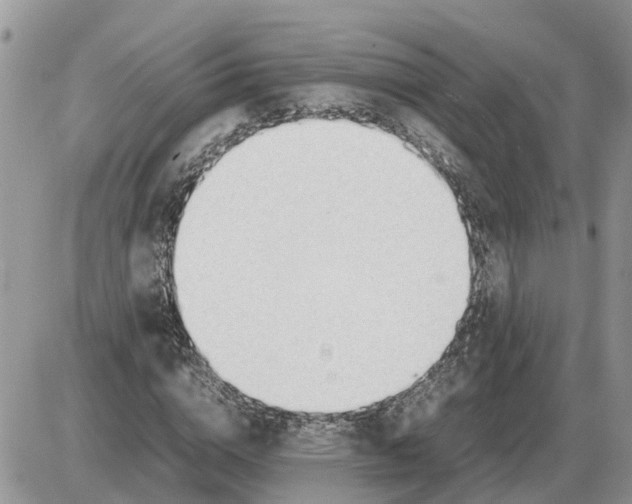 X0000086060824200704202058