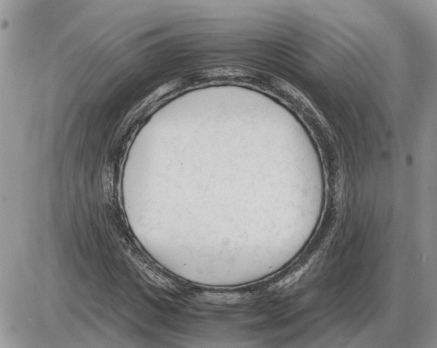 X0000086060825200704202058