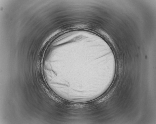 X0000086060827200704202058