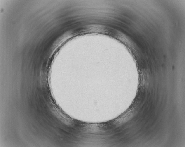 X0000086060828200704202058