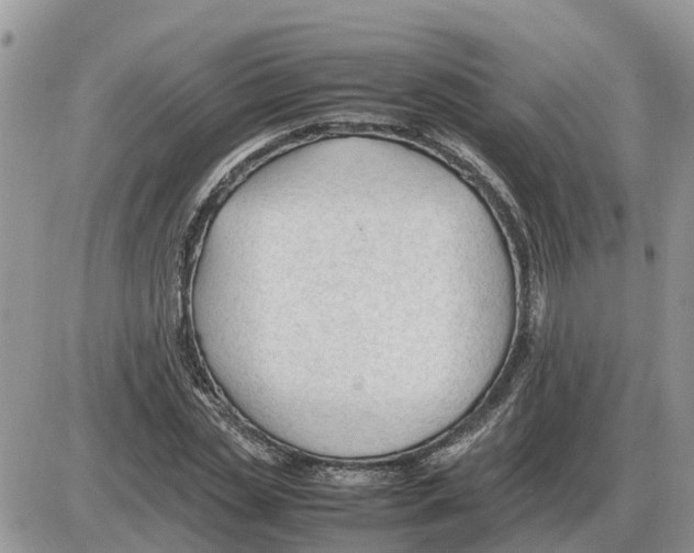 X0000086060829200704202059