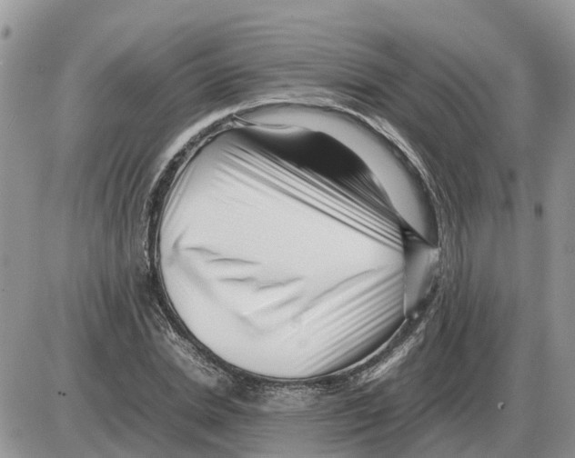 X0000086060830200704202059