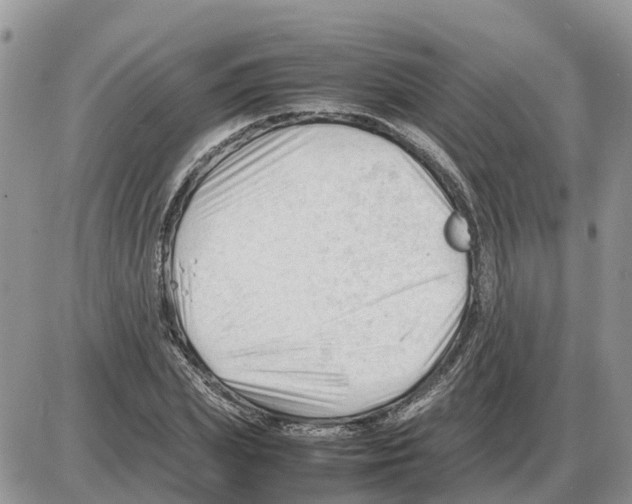 X0000086060831200704202059