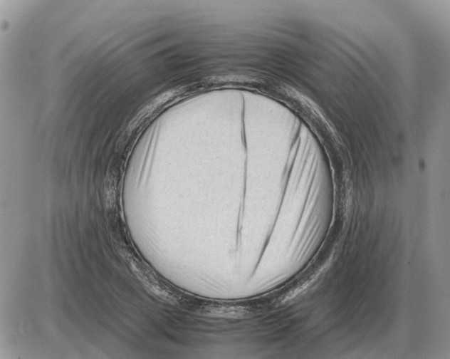 X0000086060833200704202059