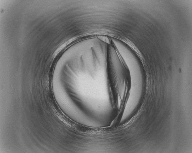 X0000086060834200704202059