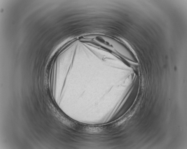 X0000086060835200704202059