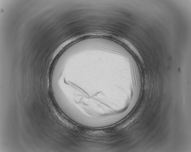 X0000086060837200704202059