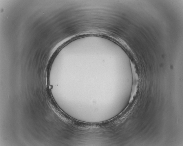 X0000086060838200704202059