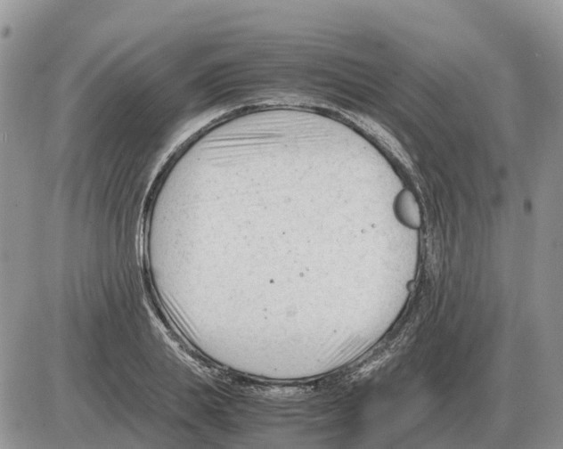 X0000086060839200704202059