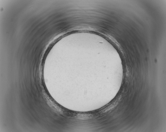 X0000086060840200704202059