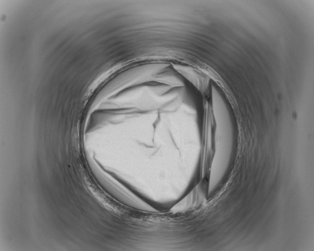 X0000086060842200704202059