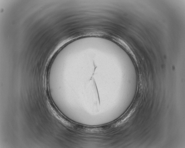 X0000086060843200704202059