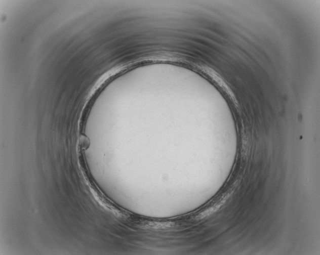 X0000086060845200704202059