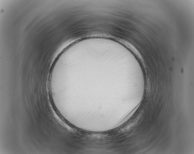 X0000086060847200704202059