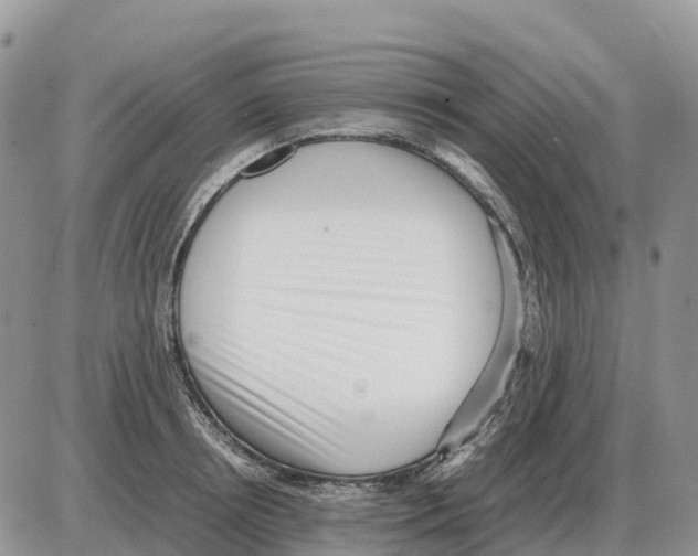 X0000086060850200704202059