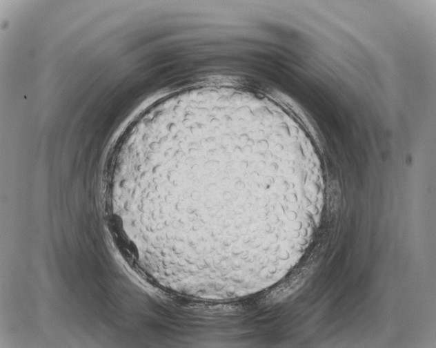 X0000086060851200704202059