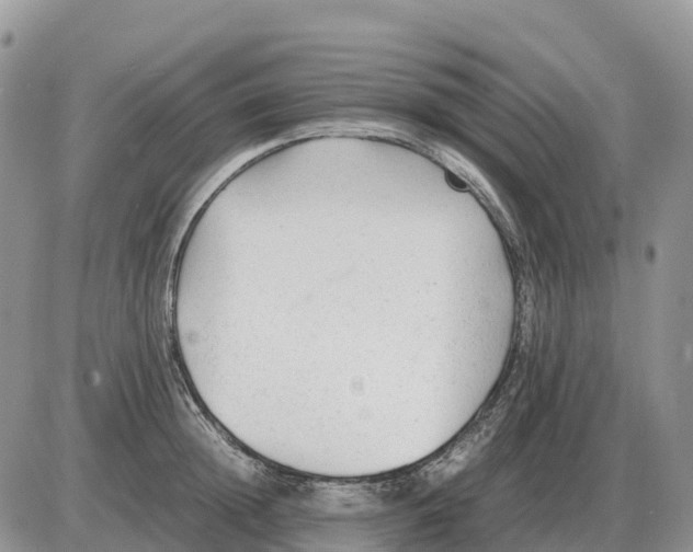 X0000086060852200704202059