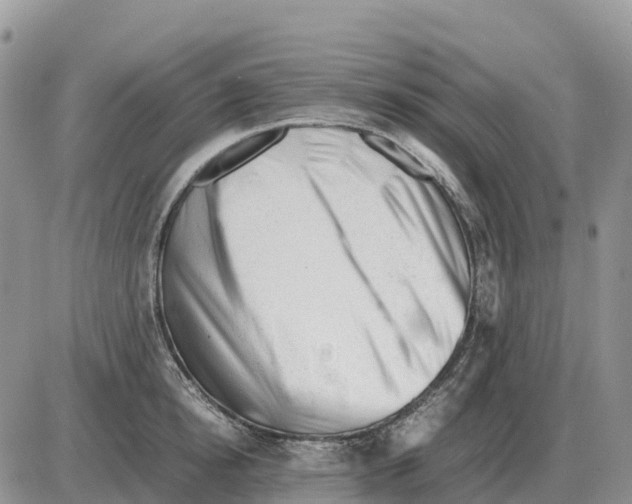 X0000086060854200704202059