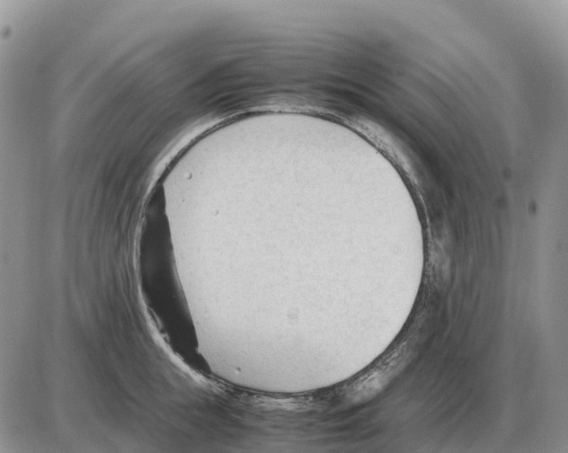 X0000086060855200704202059