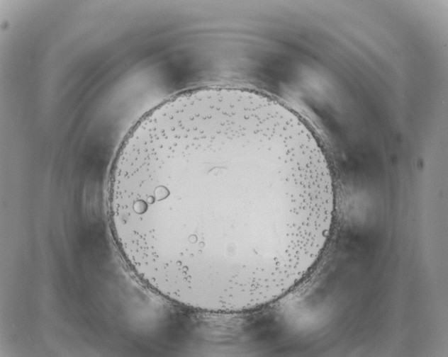 X0000086060856200704202059