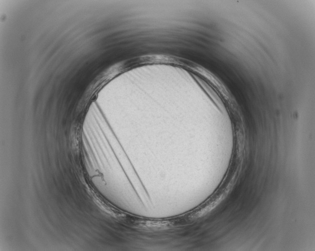 X0000086060857200704202059