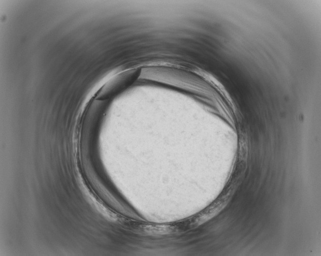 X0000086060859200704202059