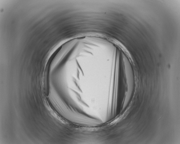 X0000086060860200704202059